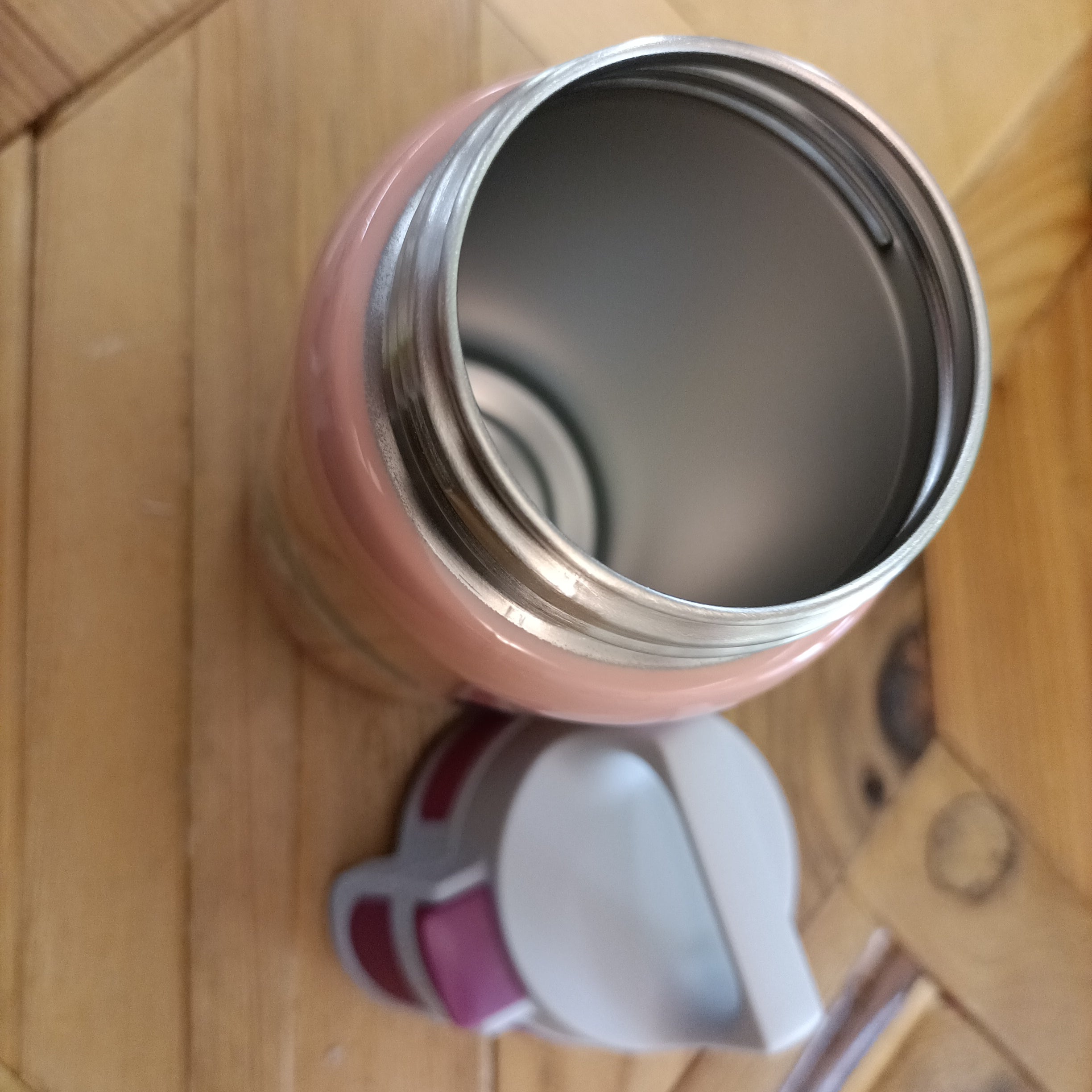 Borraccia SIGG in acciaio 0.50 lt - Cameleonte rosa